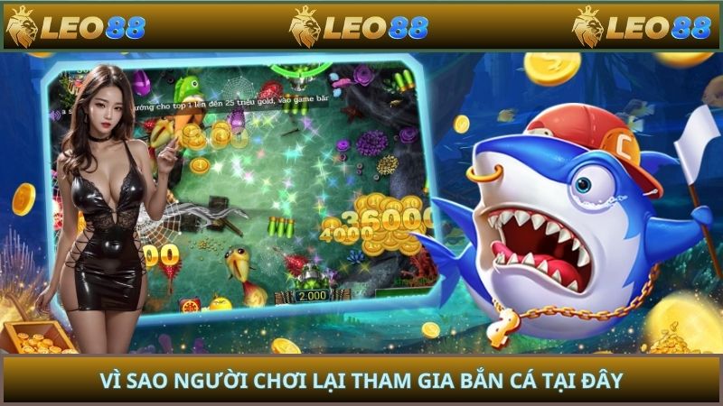 Vì sao người chơi lại tham gia bắn cá tại đây