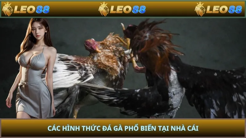 Các hình thức đá gà phổ biến tại nhà cái