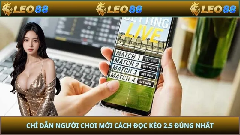 Chỉ dẫn người chơi mới cách đọc kèo 2.5 đúng nhất