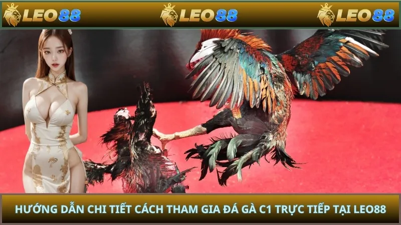 Hướng dẫn chi tiết cách tham gia đá gà C1 trực tiếp tại LEO88