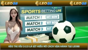 Kèo Tài Xỉu 2-2.5 Là Gì? Hiểu Rõ Cách Vận Hành Tại LEO88