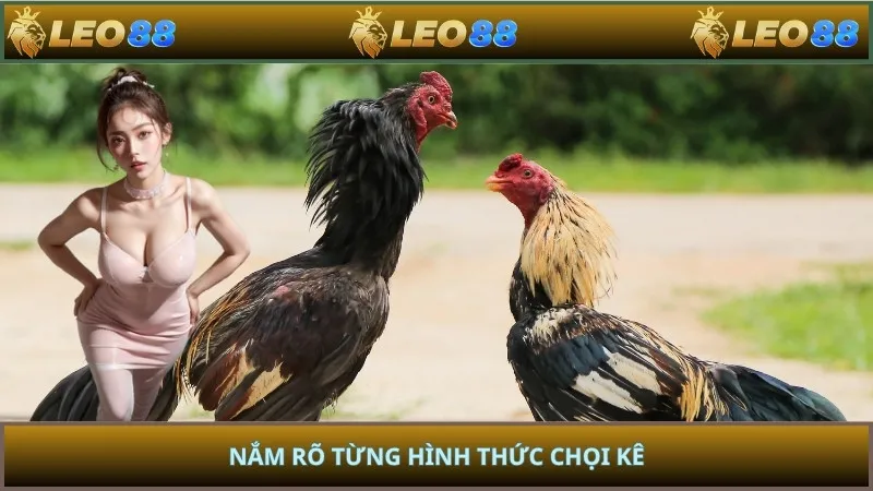 Nắm rõ từng hình thức chọi kê