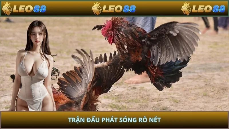 Trận đấu phát sóng rõ nét